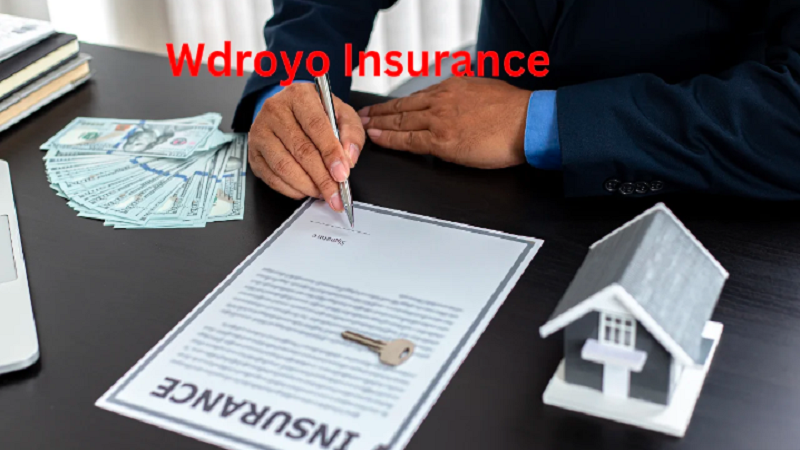 wdroyo insurance services