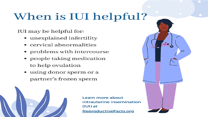 FAQs About Insemination