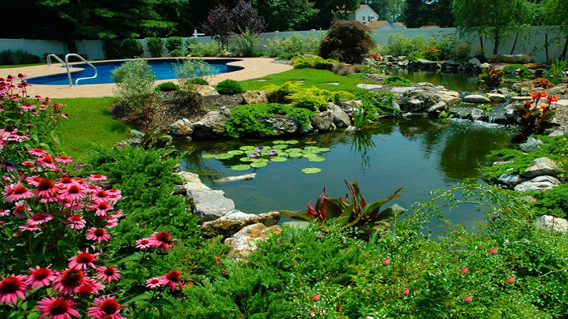 the-importance-of-pond-cleaning