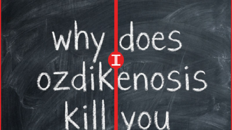Why does ozdikenosis kill you?